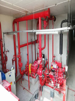 Daruma Engineering Limited